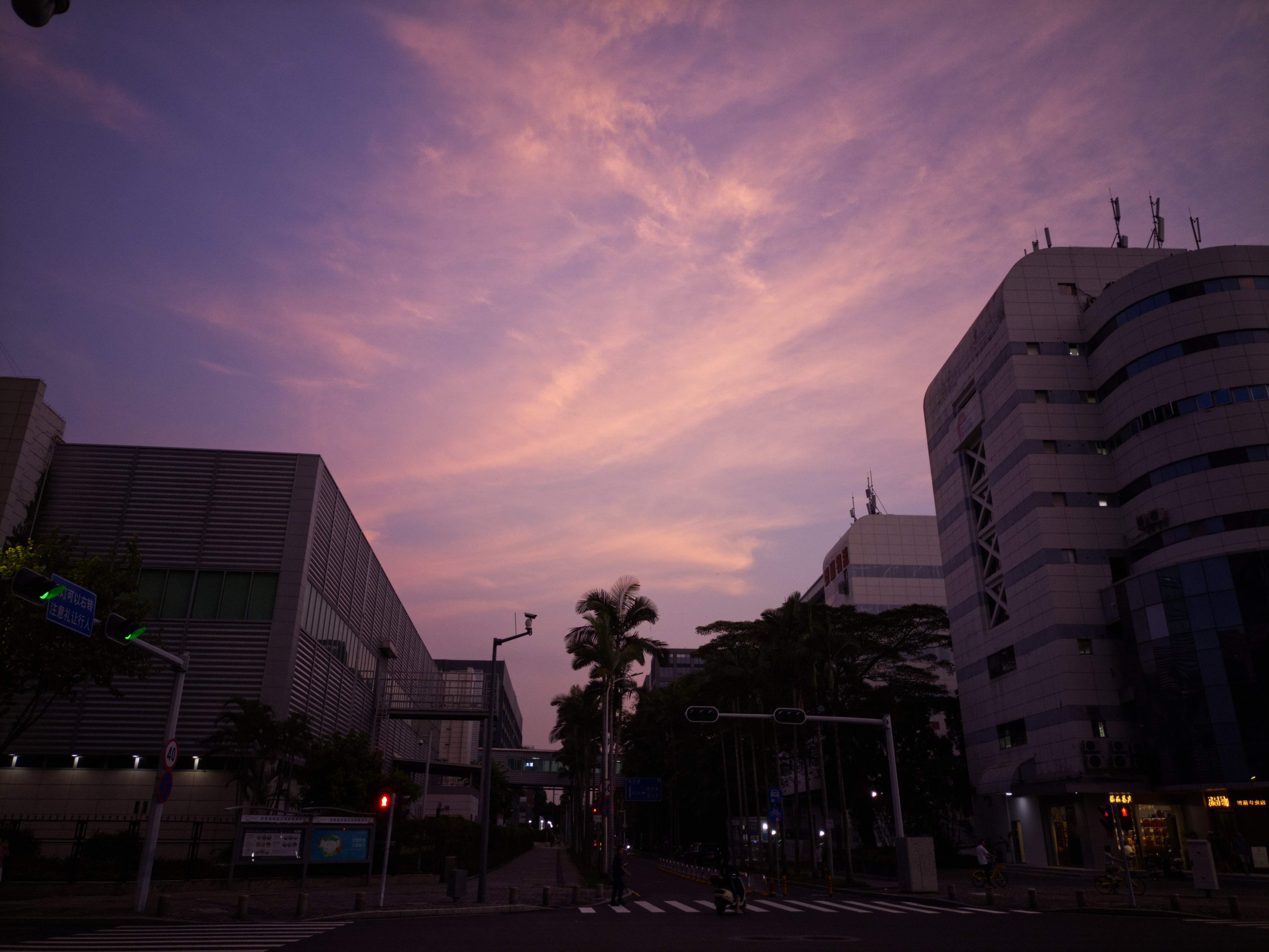 粉色的天空